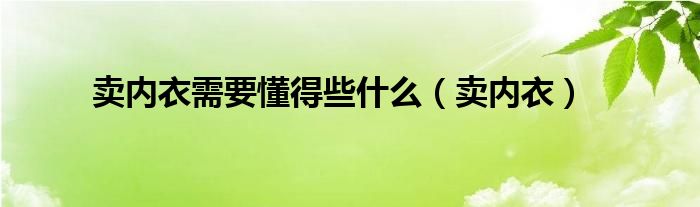 卖内衣需要懂得些什么（卖内衣）