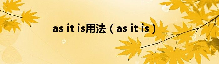 as it is用法（as it is）