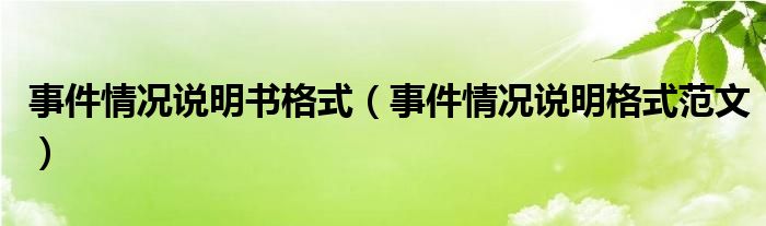 事件情况说明书格式（事件情况说明格式范文）