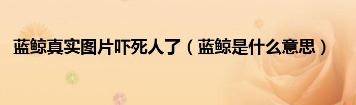 蓝鲸真实图片吓死人了（蓝鲸是什么意思）