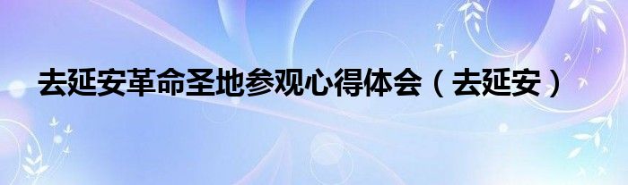 去延安革命圣地参观心得体会（去延安）