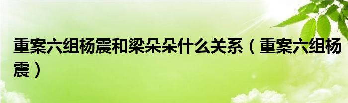 重案六组杨震和梁朵朵什么关系（重案六组杨震）