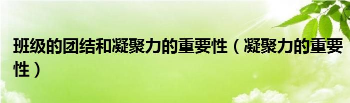 班级的团结和凝聚力的重要性（凝聚力的重要性）