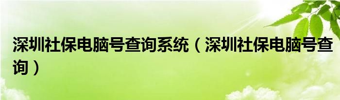 深圳社保电脑号查询系统（深圳社保电脑号查询）