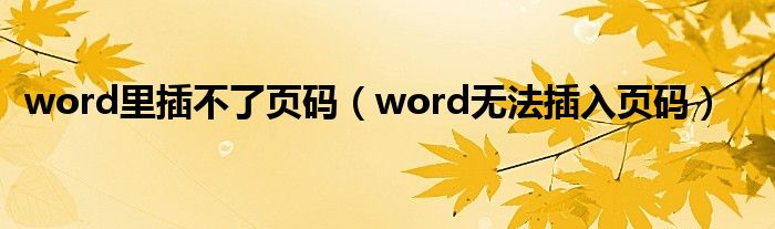 word里插不了页码（word无法插入页码）