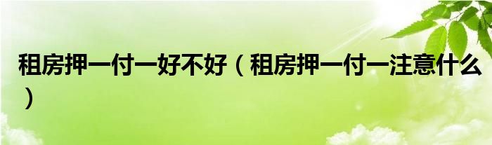 租房押一付一好不好（租房押一付一注意什么）