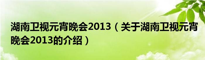 湖南卫视元宵晚会2013（关于湖南卫视元宵晚会2013的介绍）