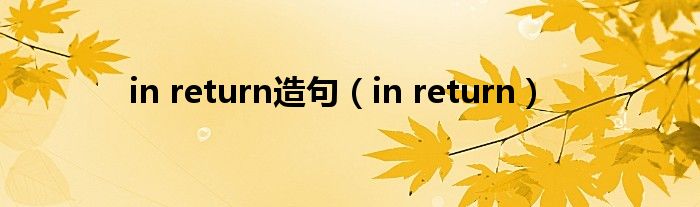 in return造句（in return）