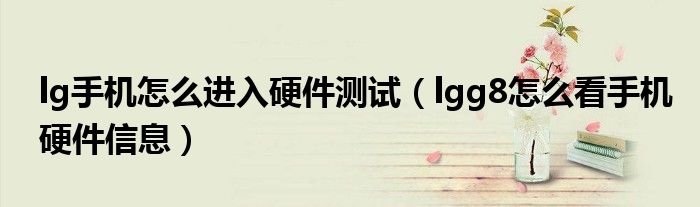 lg手机怎么进入硬件测试（lgg8怎么看手机硬件信息）