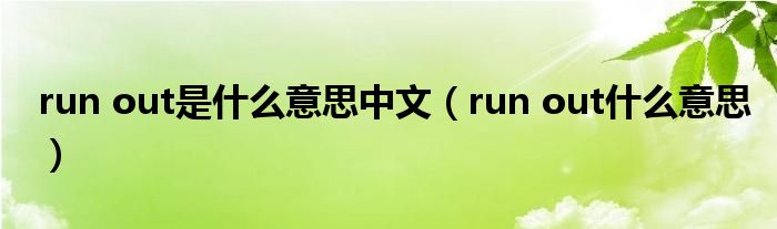 run out是什么意思中文（run out什么意思）