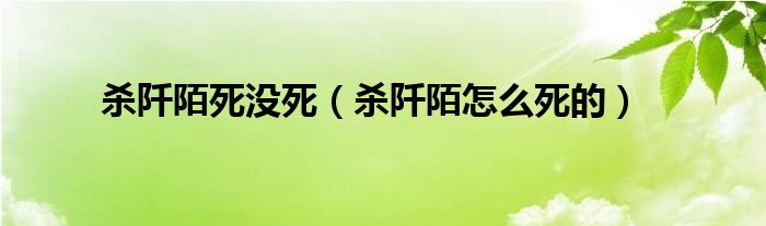 杀阡陌死没死（杀阡陌怎么死的）