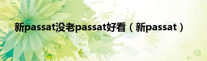 新passat没老passat好看（新passat）