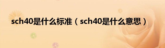 sch40是什么标准（sch40是什么意思）