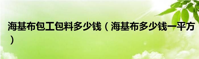 海基布包工包料多少钱（海基布多少钱一平方）