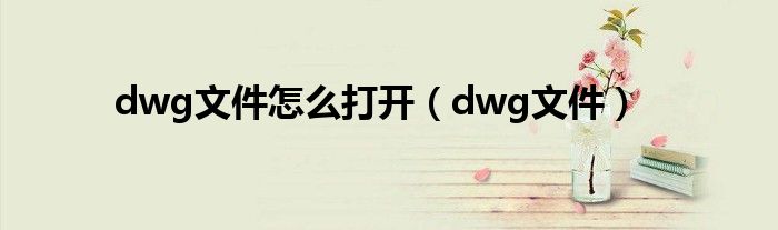 dwg文件怎么打开（dwg文件）