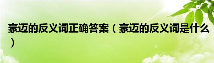 豪迈的反义词正确答案（豪迈的反义词是什么）