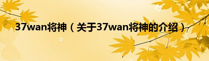 37wan将神（关于37wan将神的介绍）