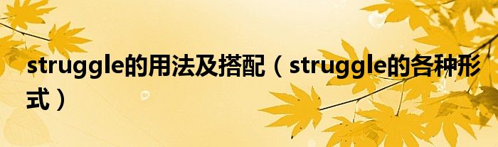 struggle的用法及搭配（struggle的各种形式）