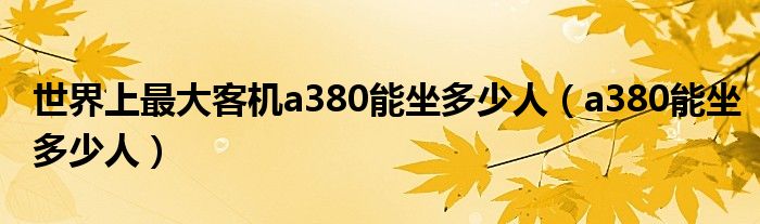 世界上最大客机a380能坐多少人（a380能坐多少人）