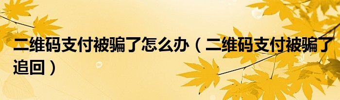 二维码支付被骗了怎么办（二维码支付被骗了追回）