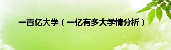 一百亿大学（一亿有多大学情分析）