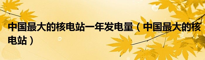 中国最大的核电站一年发电量（中国最大的核电站）