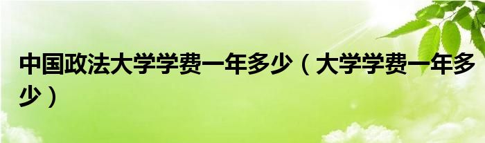 中国政法大学学费一年多少（大学学费一年多少）