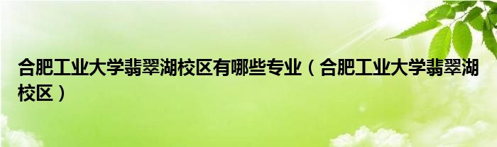 合肥工业大学翡翠湖校区有哪些专业（合肥工业大学翡翠湖校区）