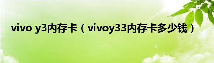 vivo y3内存卡（vivoy33内存卡多少钱）