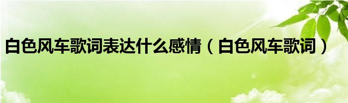 白色风车歌词表达什么感情（白色风车歌词）