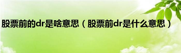 股票前的dr是啥意思（股票前dr是什么意思）