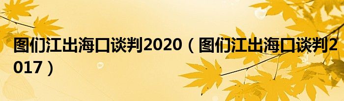 图们江出海口谈判2020（图们江出海口谈判2017）