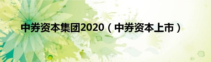 中券资本集团2020（中券资本上市）