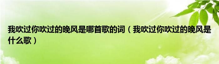 我吹过你吹过的晚风是哪首歌的词（我吹过你吹过的晚风是什么歌）