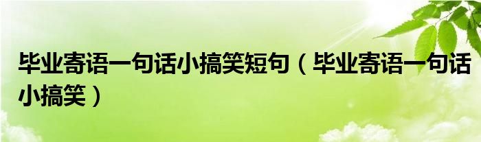 毕业寄语一句话小搞笑短句（毕业寄语一句话小搞笑）