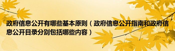 政府信息公开有哪些基本原则（政府信息公开指南和政府信息公开目录分别包括哪些内容）