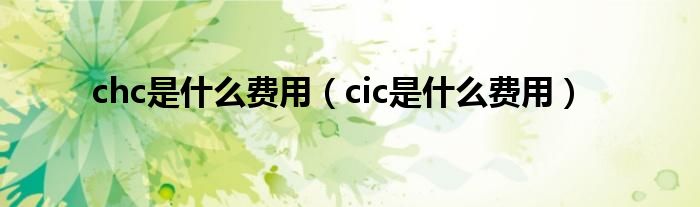 chc是什么费用（cic是什么费用）