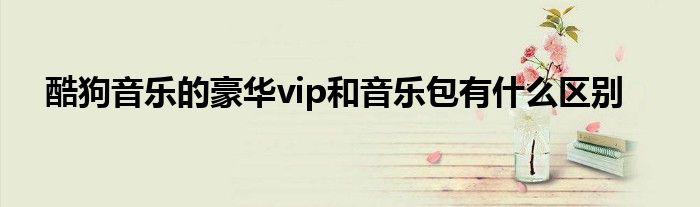 酷狗音乐的豪华vip和音乐包有什么区别