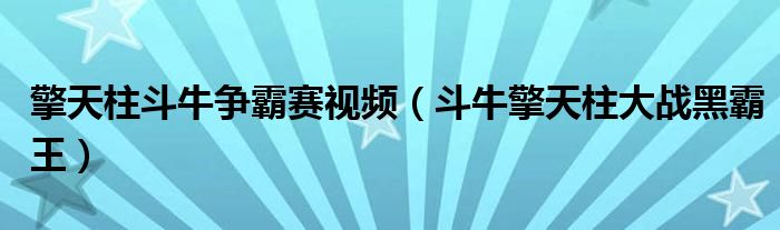 擎天柱斗牛争霸赛视频（斗牛擎天柱大战黑霸王）