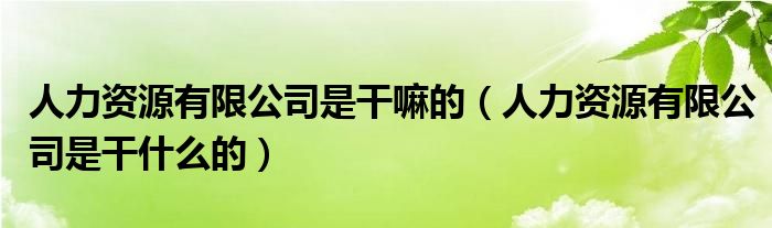 人力资源有限公司是干嘛的（人力资源有限公司是干什么的）