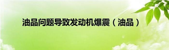 油品问题导致发动机爆震（油品）