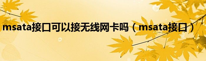 msata接口可以接无线网卡吗（msata接口）