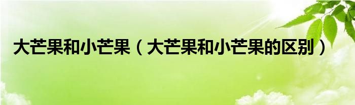 大芒果和小芒果（大芒果和小芒果的区别）