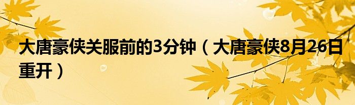 大唐豪侠关服前的3分钟（大唐豪侠8月26日重开）