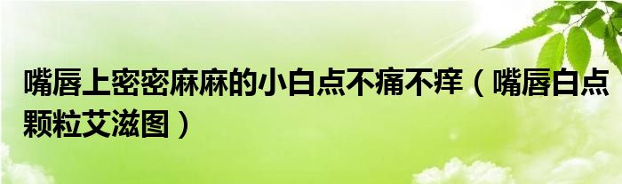 嘴唇上密密麻麻的小白点不痛不痒（嘴唇白点颗粒艾滋图）