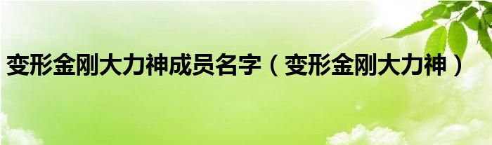 变形金刚大力神成员名字（变形金刚大力神）