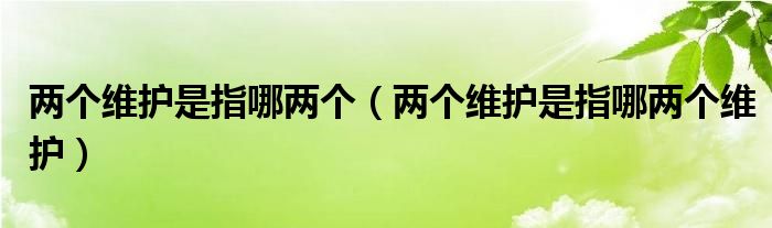 两个维护是指哪两个（两个维护是指哪两个维护）