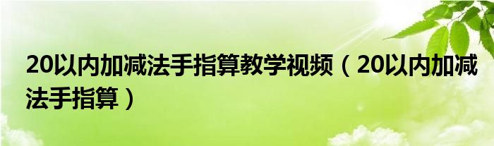 20以内加减法手指算教学视频（20以内加减法手指算）