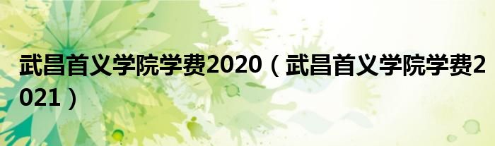 武昌首义学院学费2020（武昌首义学院学费2021）