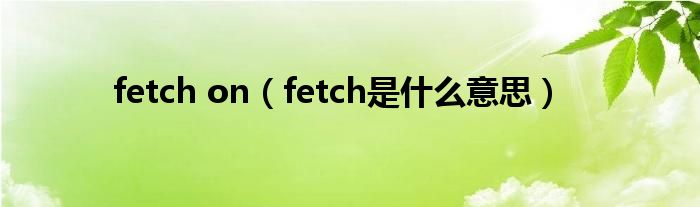 fetch on（fetch是什么意思）